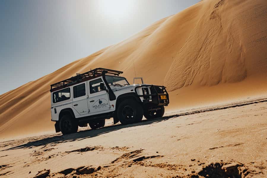 Walvis Bay: Dolphin Cruise, Pink Lakes and 4x4 Dune Drive - Key points to know before booking