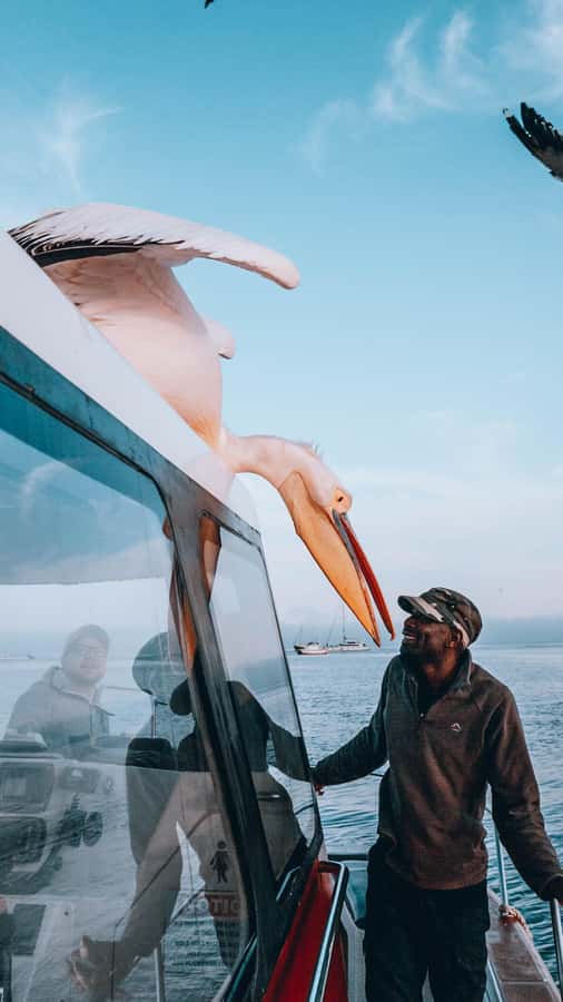 Walvis Bay: Dolphin Cruise, Pink Lakes and 4x4 Dune Drive - A short waterfront break before the desert