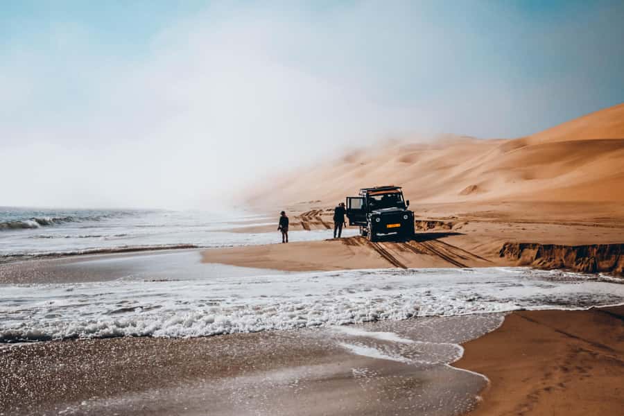 Walvis Bay: Dolphin Cruise, Pink Lakes and 4x4 Dune Drive - Flamingos, salt pans, and Walvis Bay’s birdlife