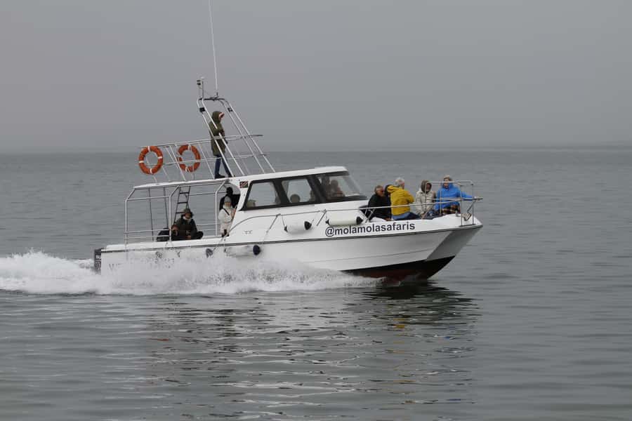 Walvis Bay: Dolphin Cruise, Pink Lakes and 4x4 Dune Drive - The 4x4 run into Sandwich Harbour
