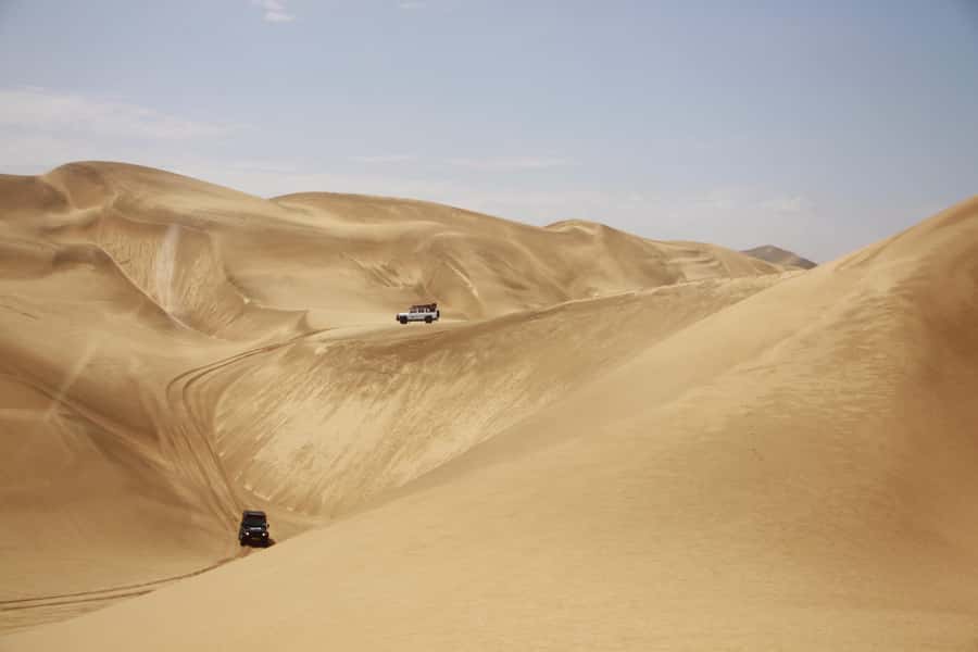 Walvis Bay: Dolphin Cruise, Pink Lakes and 4x4 Dune Drive - Who should book this experience