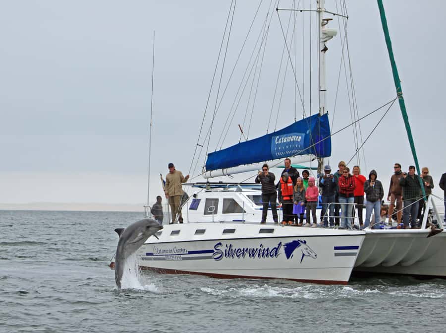 Walvis Bay: Marine Big 5 Luxury Catamaran Tour - Small details that make the morning better
