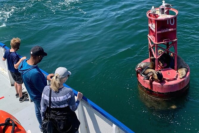 West Harbor LA 45-Minute Narrated Harbor Cruise of San Pedro - What the Boat Is Like
