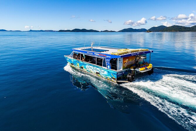 Whisper Cruises - One-Hour Turtle Spotting Bay Cruise - What the guides add to the hour