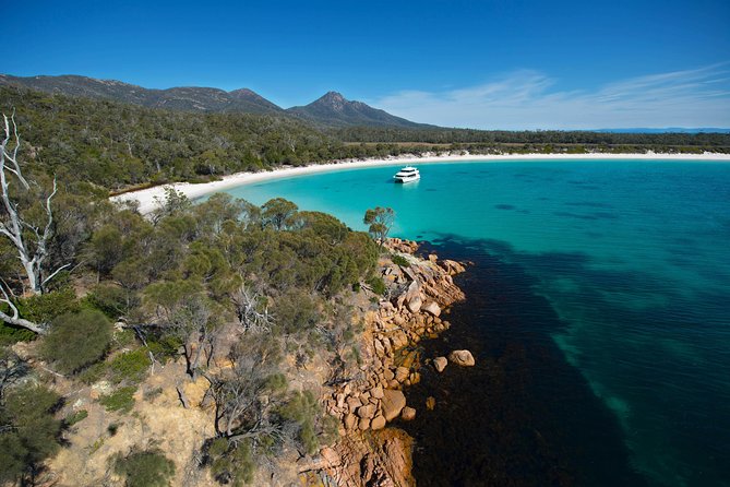 Wineglass Bay Cruise from Coles Bay - Wildlife sightings along the route