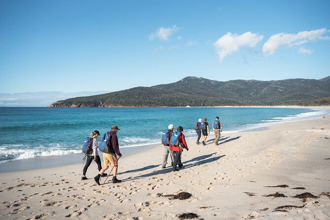 Wineglass Bay Cruise from Coles Bay - What the $129.10 price really covers