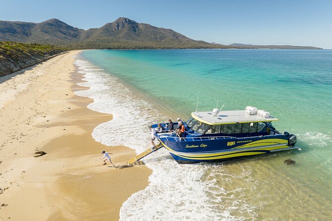 Wineglass Bay Cruise from Coles Bay - Who should book this cruise?