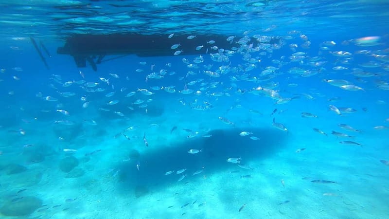 Zakynthos: Blue Caves and Navagio Bay Swim Cruise - Agios Andreas: the first real swim